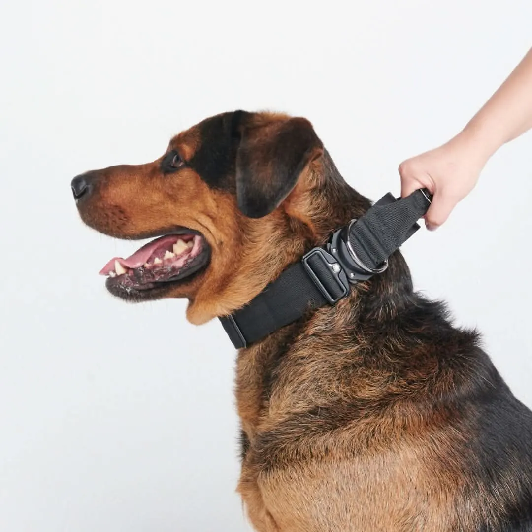 Comfort Control Dog Collar Sets