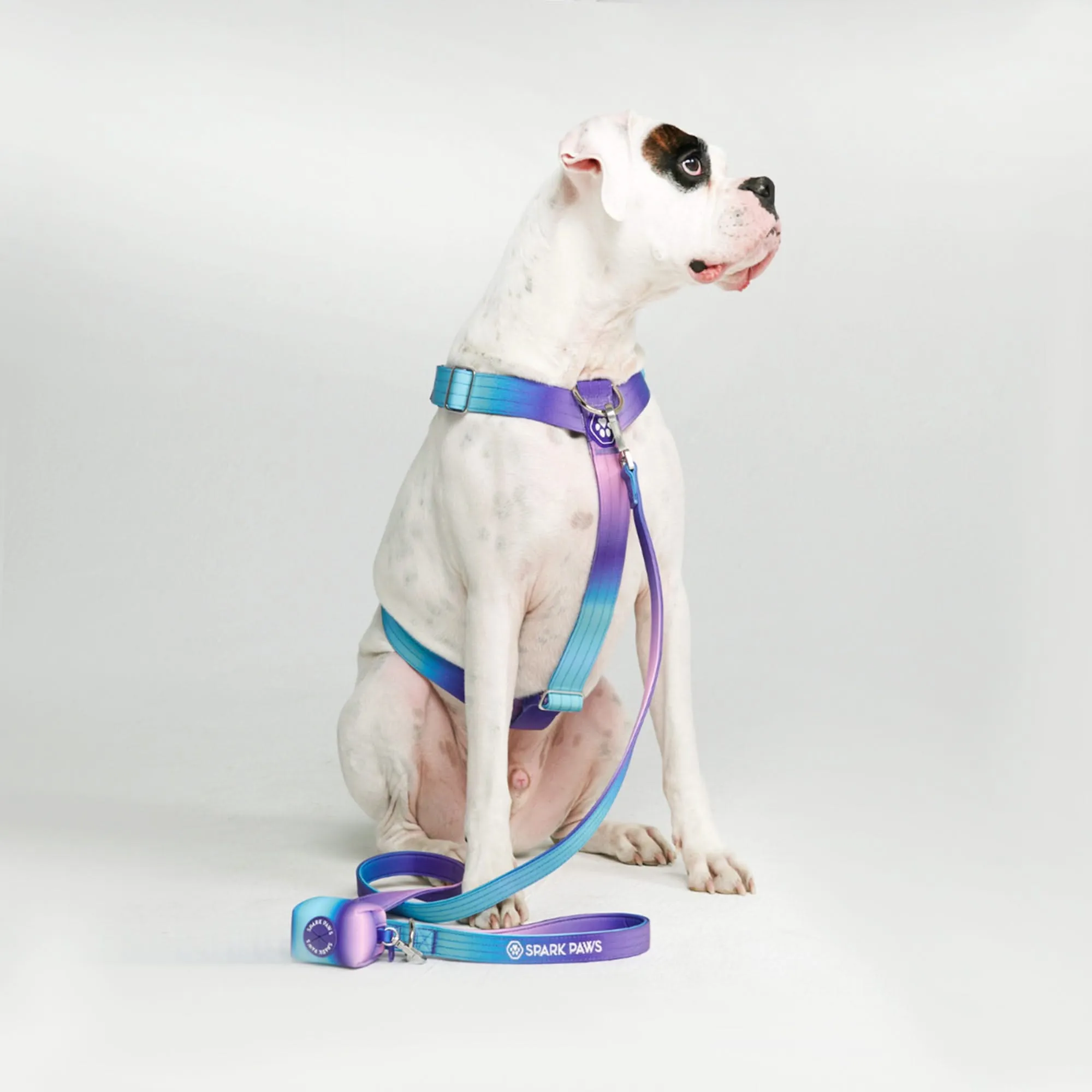 Comfort Control No-Pull Harness Sets