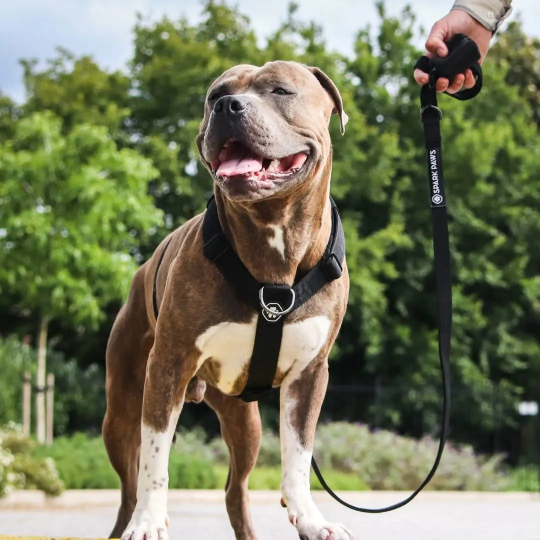 Comfort Control No-Pull Harness Sets