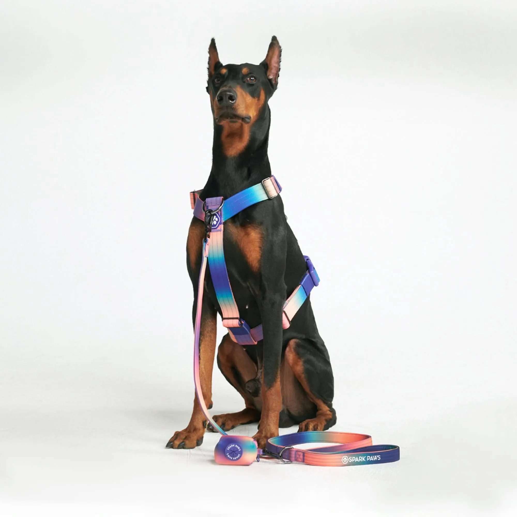 Comfort Control No-Pull Harness Sets