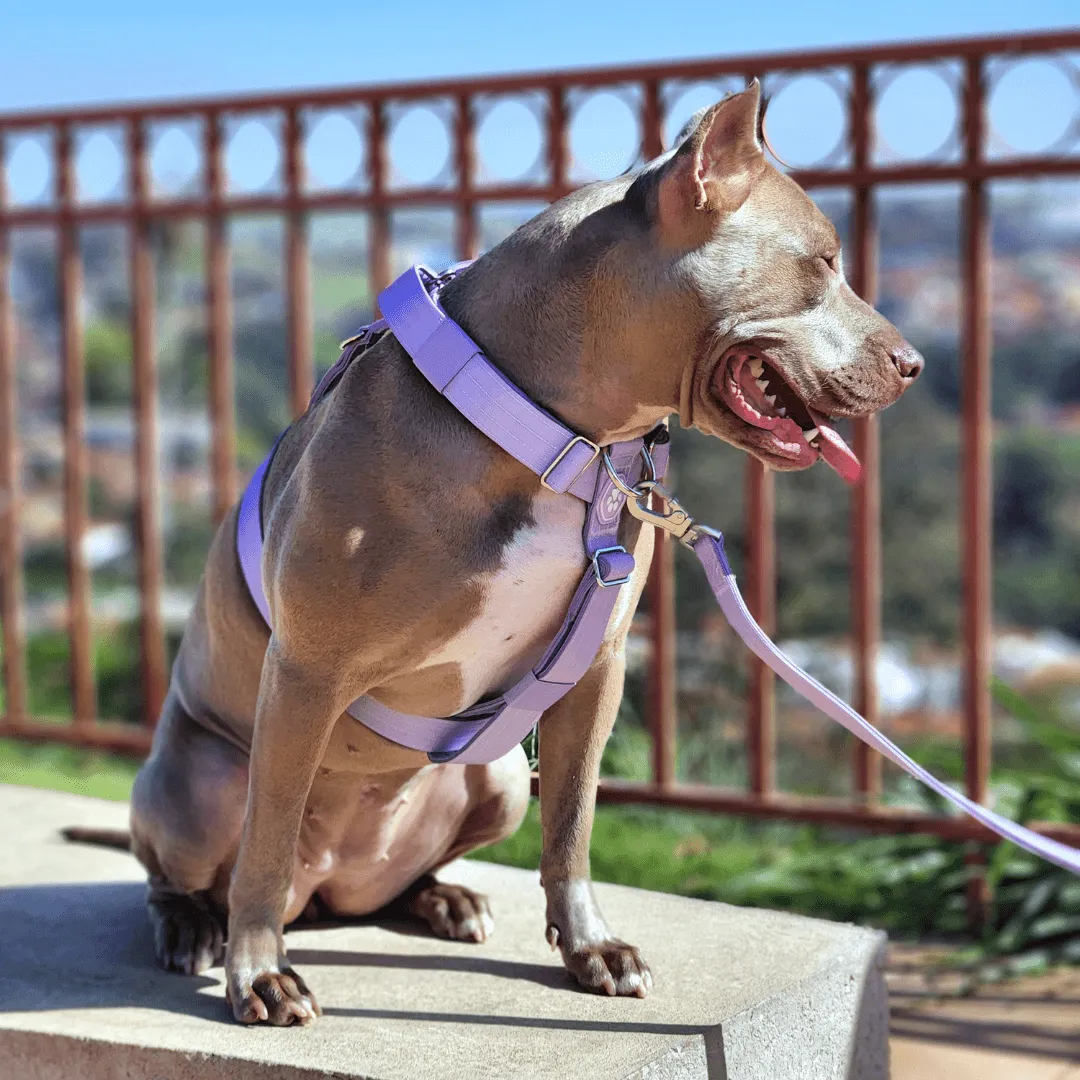 Comfort Control No-Pull Harness Sets