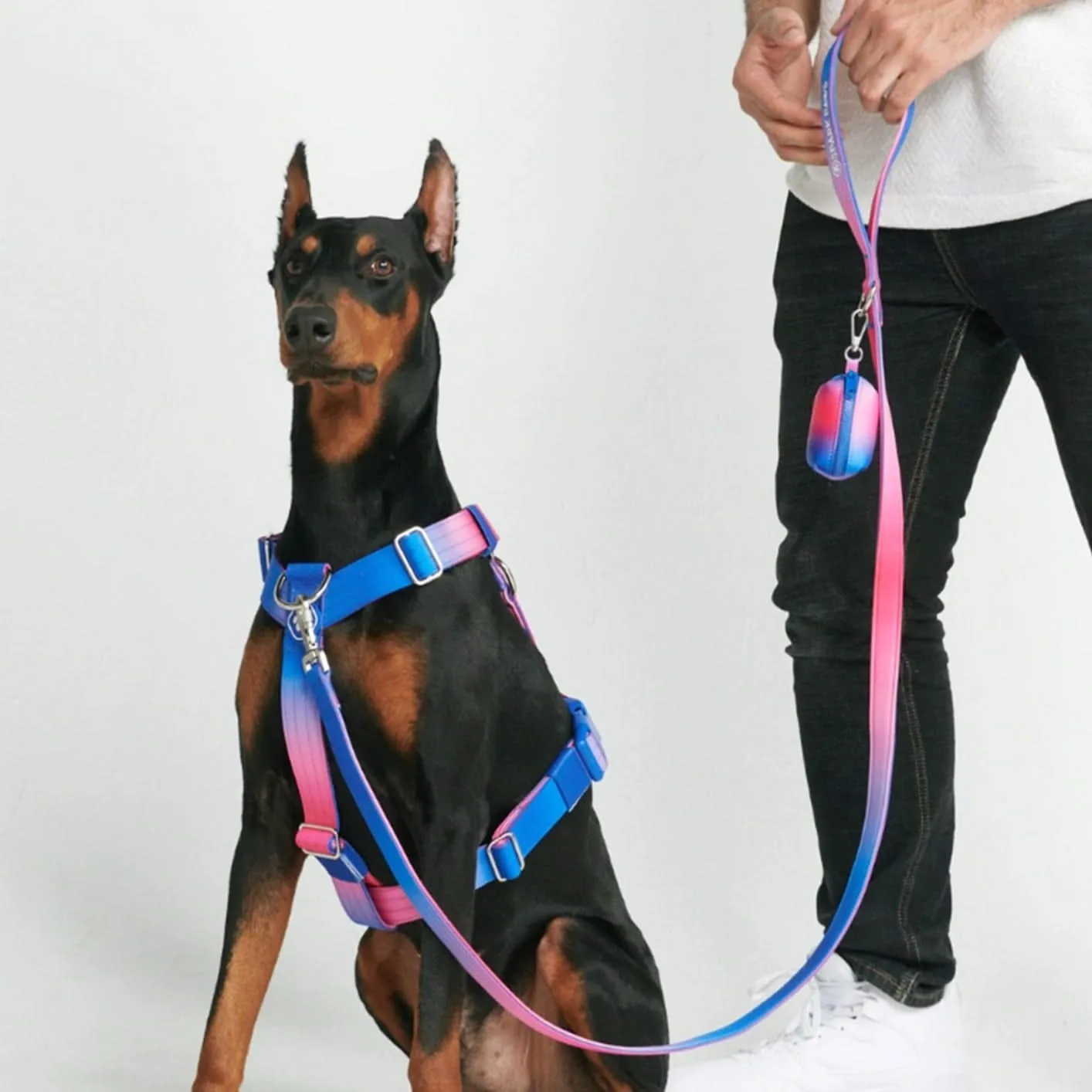 Comfort Control No-Pull Harness Sets