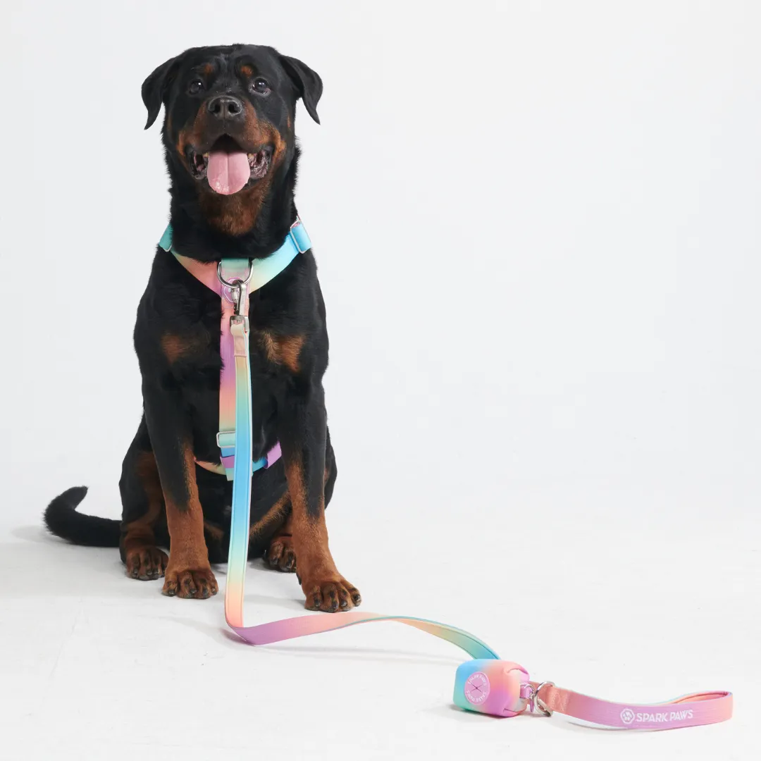 Comfort Control No-Pull Harness Sets