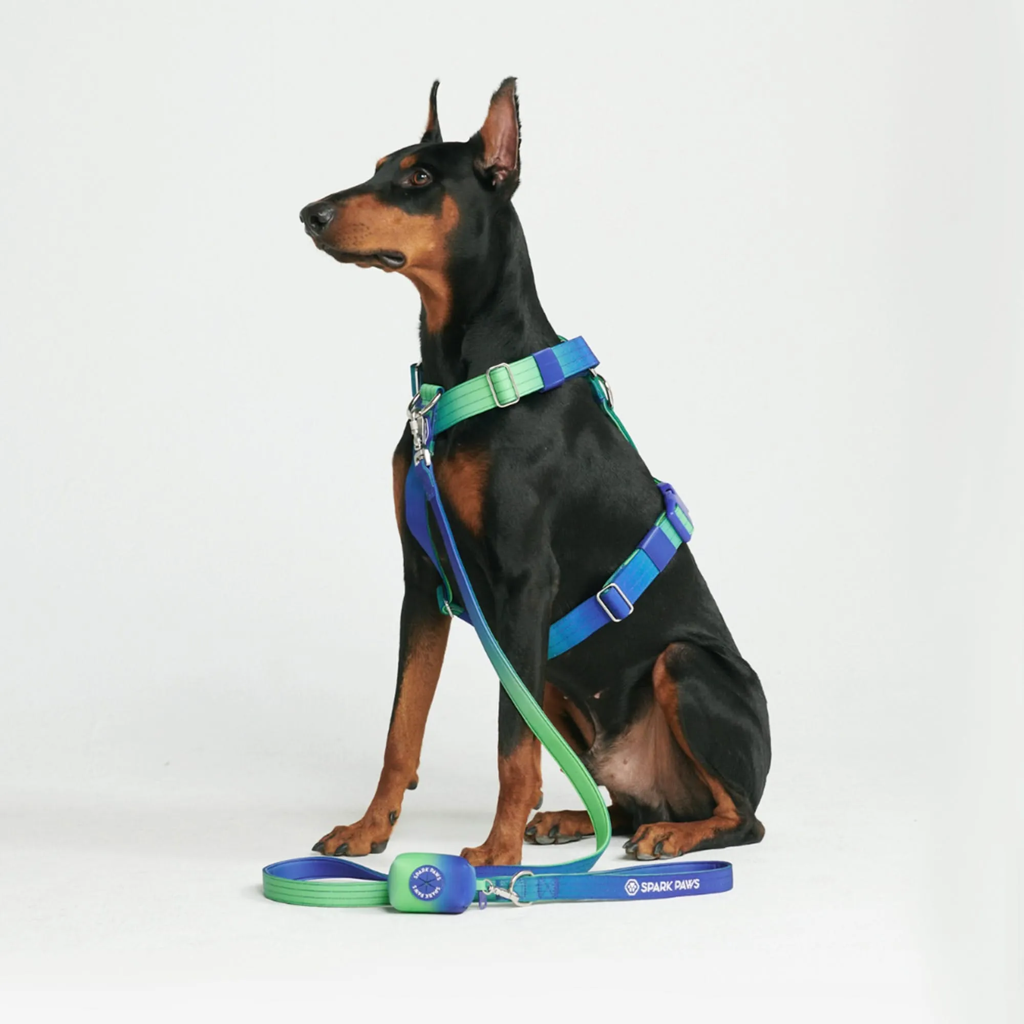 Comfort Control No-Pull Harness Sets