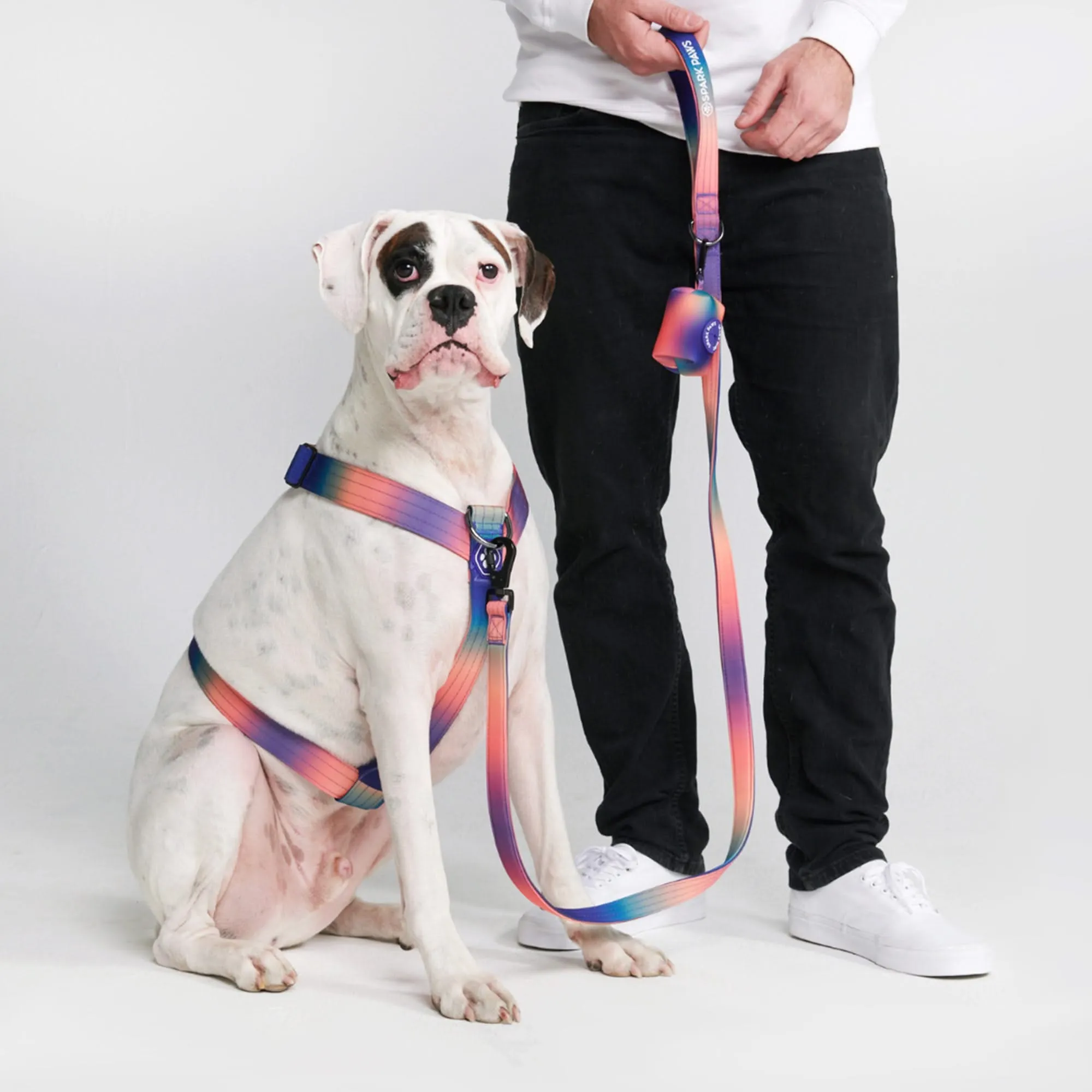 Comfort Control No-Pull Harness Sets