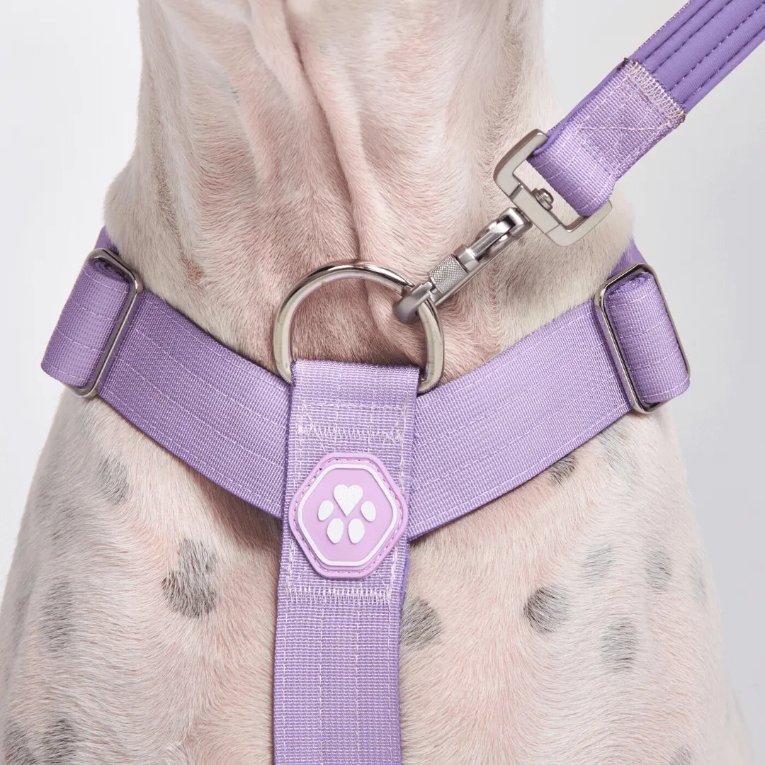 Comfort Control No-Pull Harness Sets