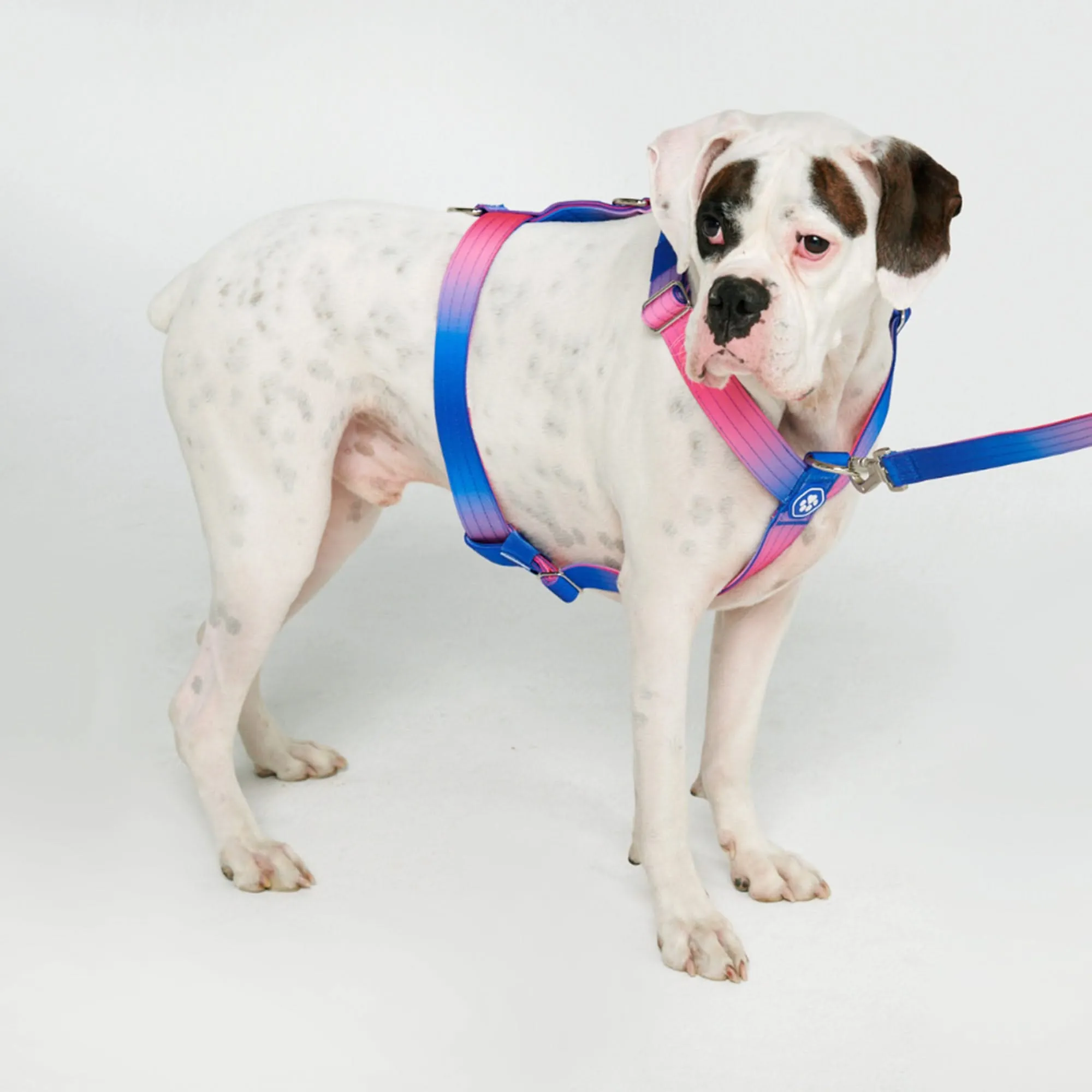 Comfort Control No-Pull Harness Sets