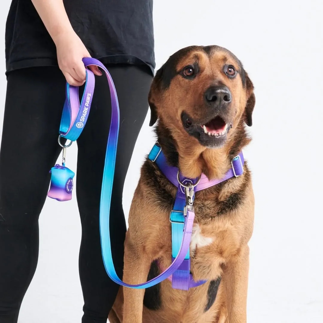 Comfort Control No-Pull Harness Sets