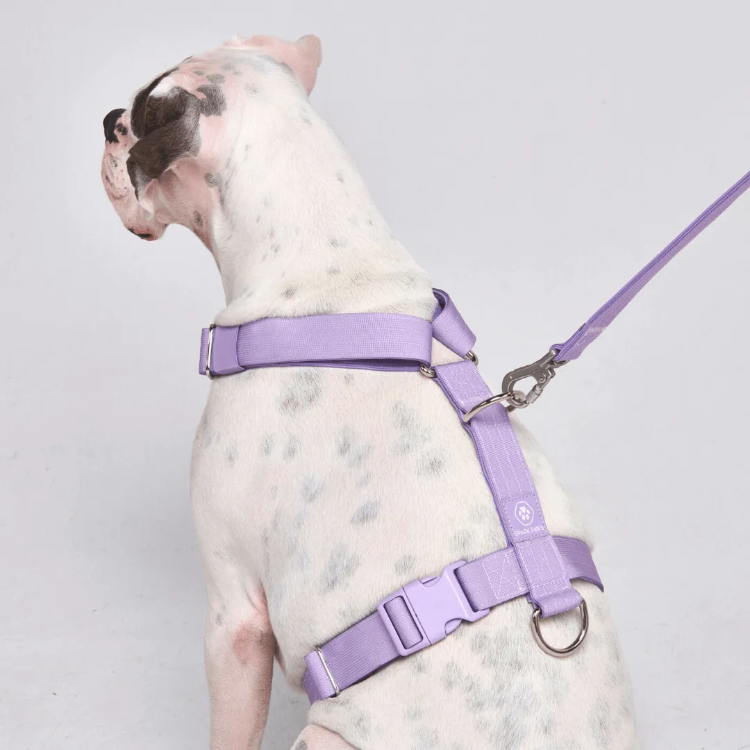 Comfort Control No-Pull Harness Sets