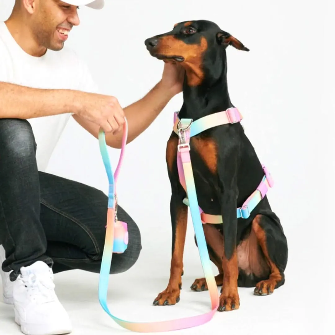 Comfort Control No-Pull Harness Sets