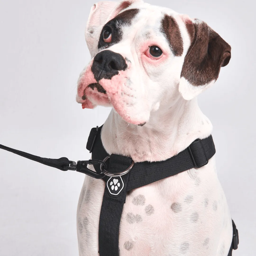 Comfort Control No-Pull Harness Sets
