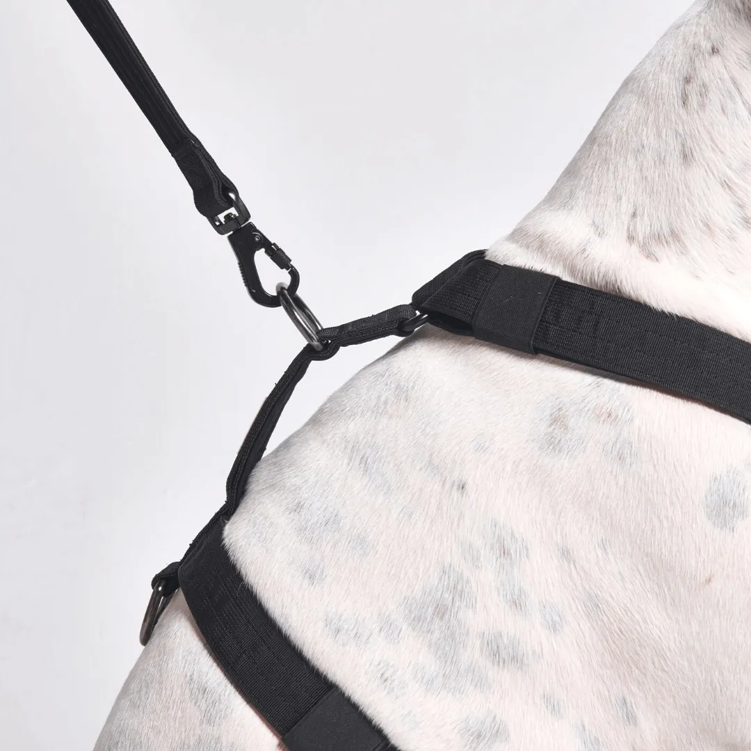 Comfort Control No-Pull Harness Sets