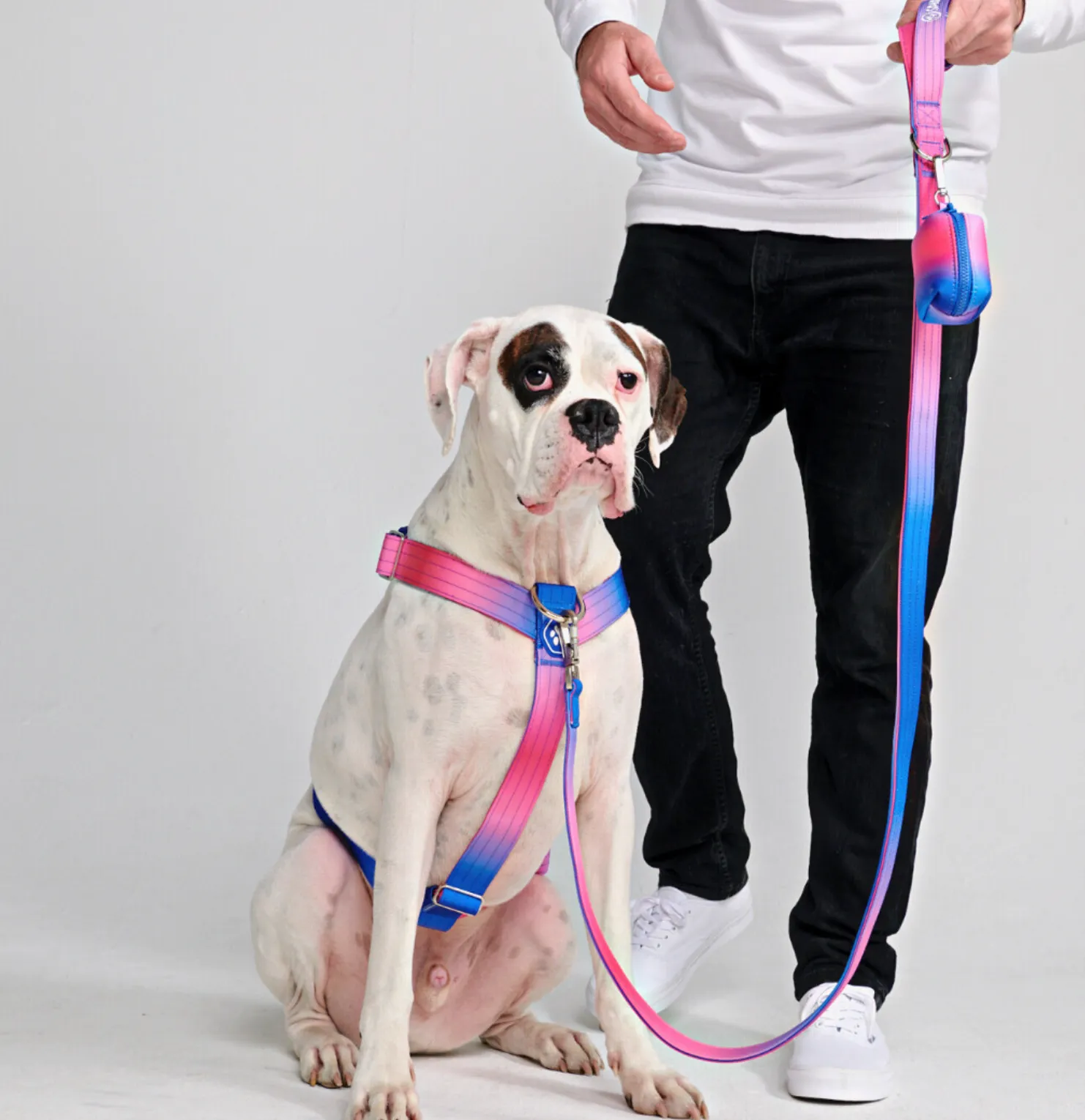 Comfort Control No-Pull Harness Sets