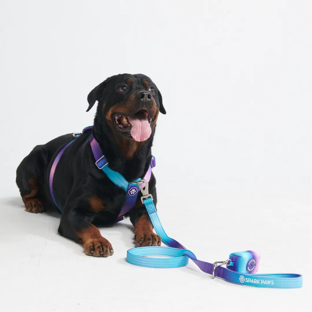 Comfort Control No-Pull Harness Sets