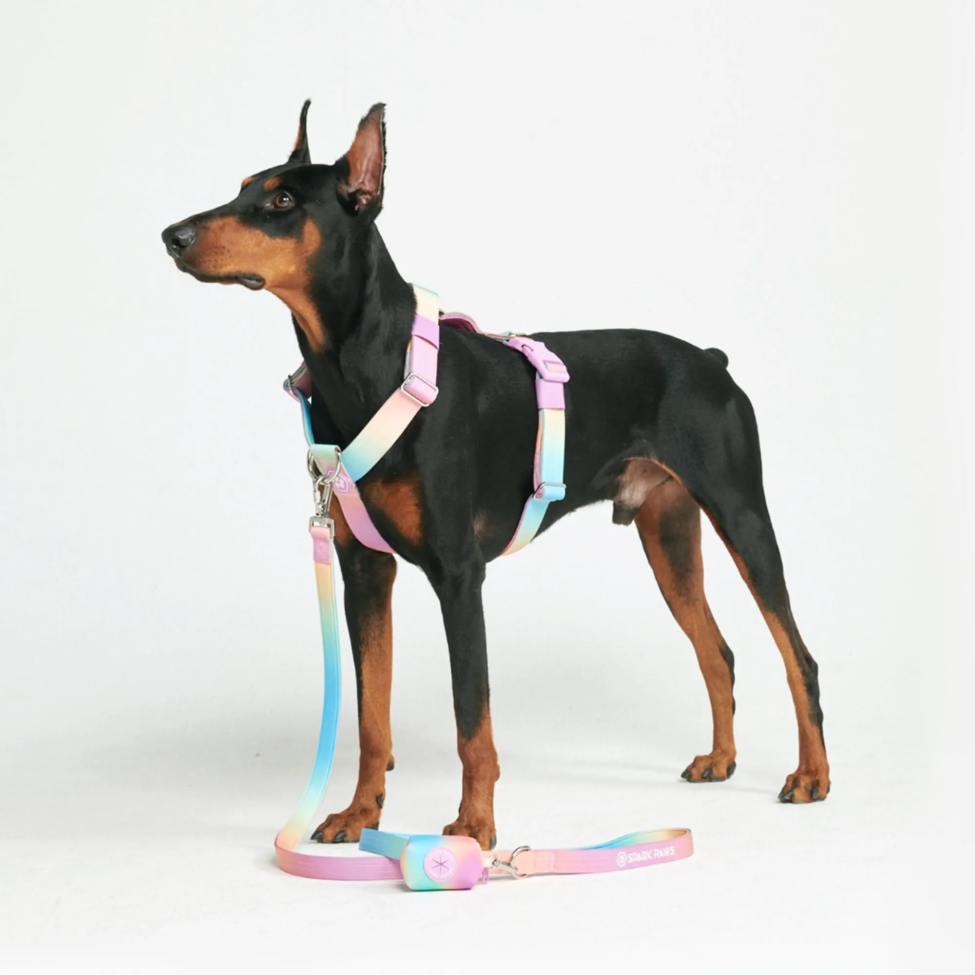 Comfort Control No-Pull Harness Sets
