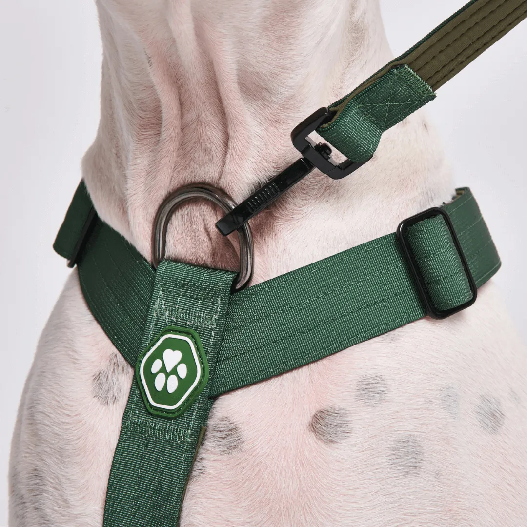 Comfort Control No-Pull Harness Sets