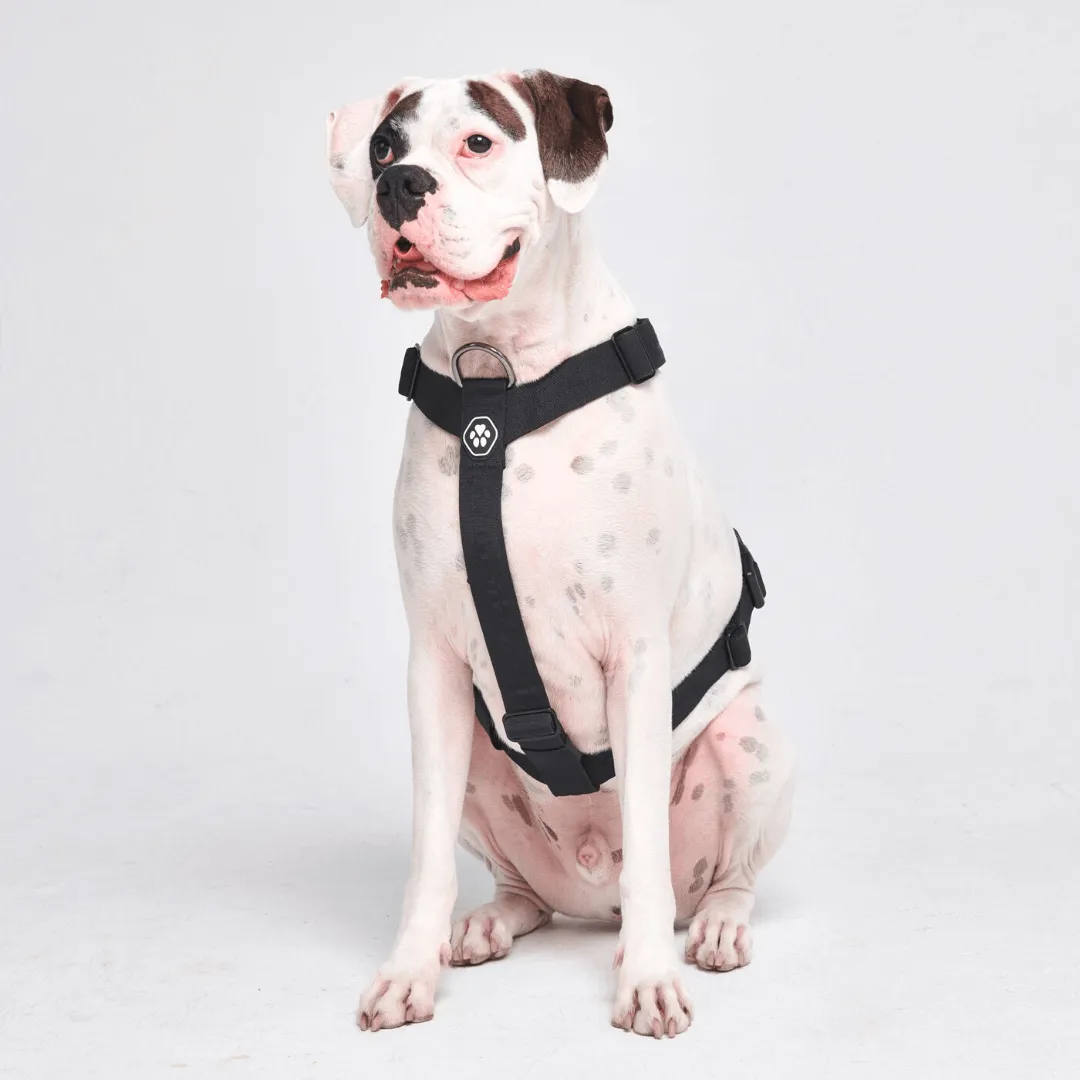 Comfort Control No-Pull Harness Sets