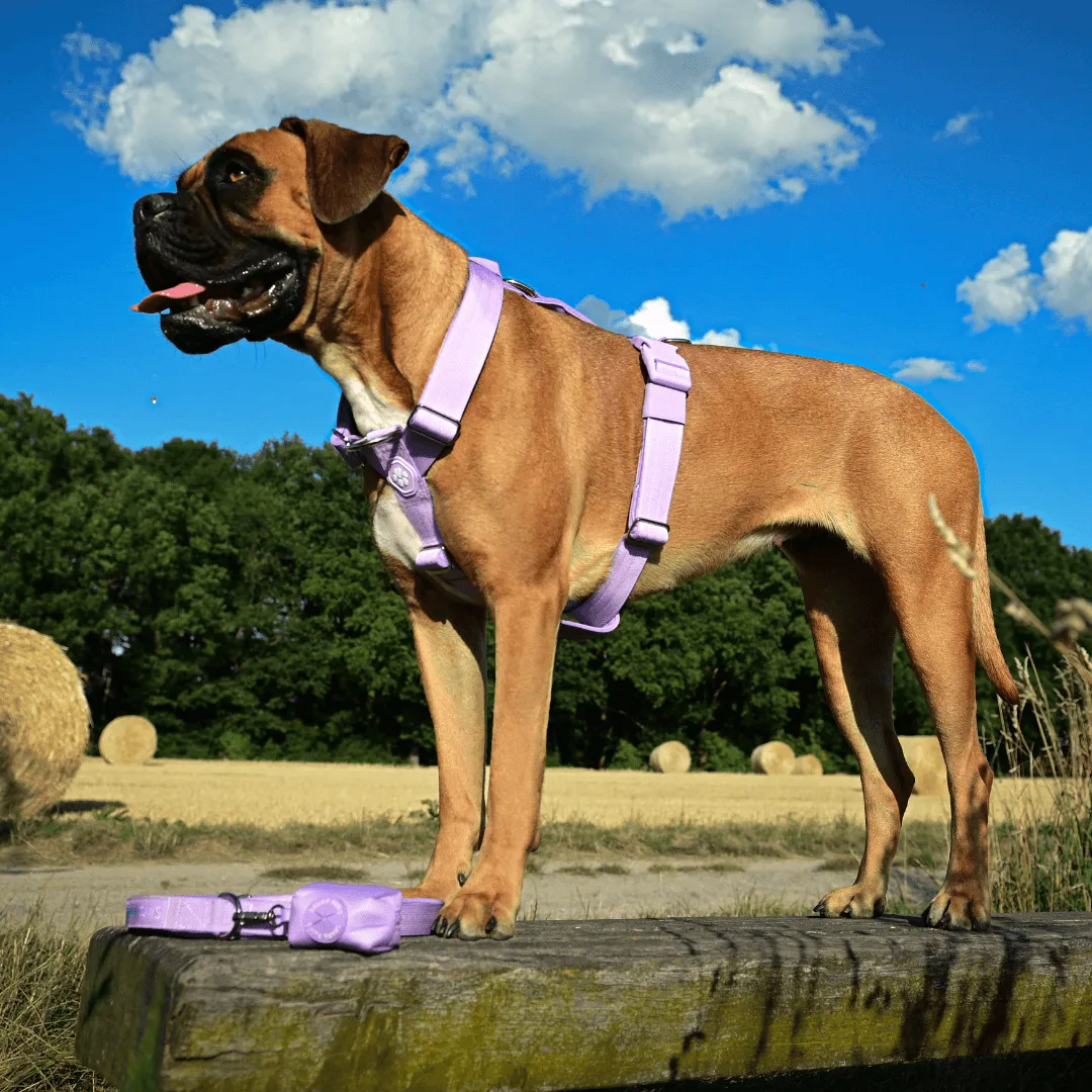 Comfort Control No-Pull Harness Sets