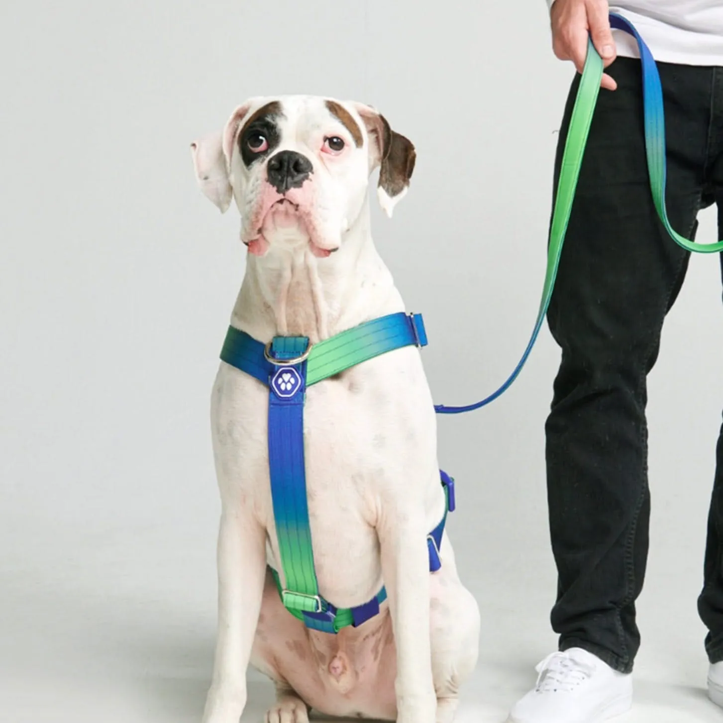 Comfort Control No-Pull Harness Sets