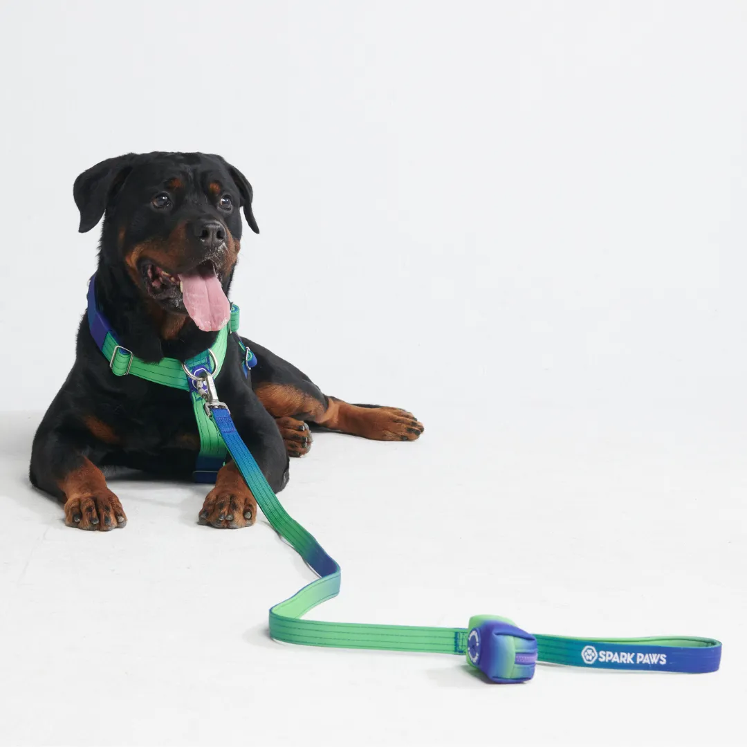 Comfort Control No-Pull Harness Sets