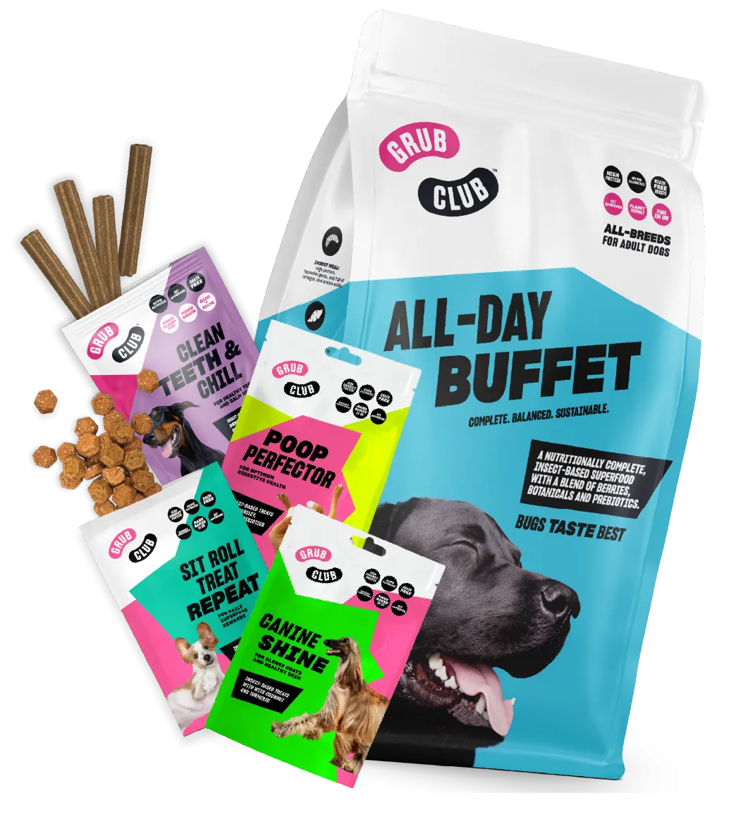 INTRO BUNDLE