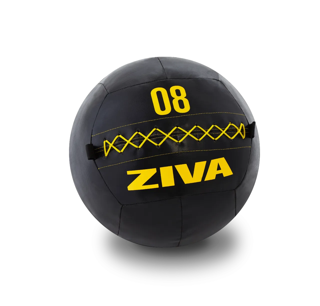 ZIVA Performance Wall Balls