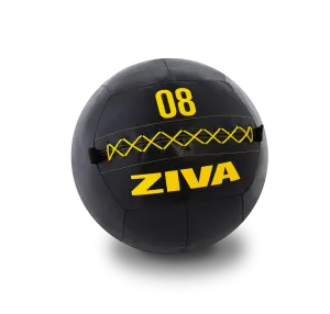 ZIVA Performance Wall Balls